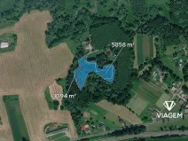 Prodej podílu lesa, Petrovice u Karviné, 2317 m2