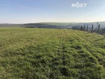 Prodej pole, Medlovice, 4000 m2