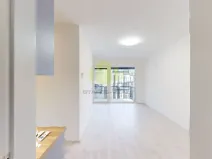 Pronájem bytu 1+kk, Olomouc, Wolkerova, 43 m2