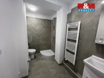 Pronájem bytu 1+kk, Český Těšín, Mlýnská, 72 m2