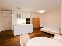 Pronájem bytu 1+kk, Brno, Kobližná, 53 m2