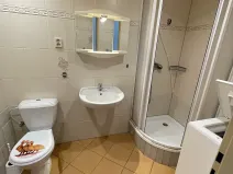 Pronájem bytu 1+1, Plzeň, Karlovarská, 33 m2