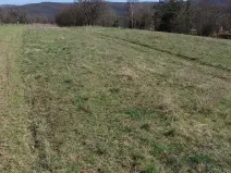 Prodej zahrady, Brno, 331 m2