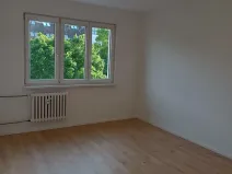 Prodej bytu 2+1, Brno, Souběžná, 58 m2