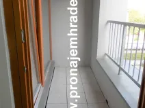 Pronájem bytu 2+kk, Hradec Králové, Kollárova, 56 m2