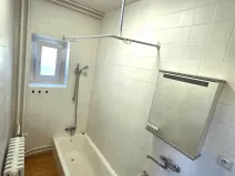 Pronájem bytu 3+kk, Dolní Lutyně, U Stanoviště, 90 m2