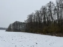 Prodej lesa, Moravský Krumlov, 2648 m2