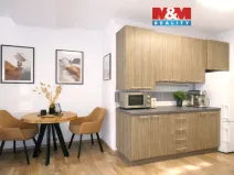 Pronájem bytu 2+kk, Ostrava - Krásné Pole, Družební, 50 m2