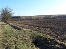 Prodej pozemku pro bydlení, Libina, 1180 m2
