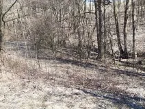 Prodej pozemku pro bydlení, Oskava, 2976 m2