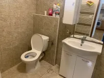 Pronájem bytu 1+1, Mirošov, 45 m2