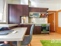 Pronájem bytu 1+kk, Ostrava, Michálkovická, 34 m2