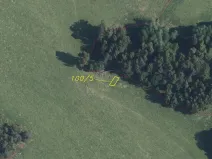 Prodej pole, Cvikov - Trávník, 7516 m2