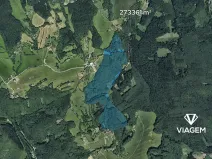 Prodej podílu lesa, Lípa, 4141 m2