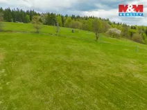 Prodej louky, Albrechtice v Jizerských horách, 13478 m2