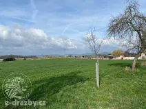Dražba pole, Bystřice, 11372 m2