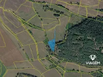 Prodej lesa, Nečín, 2595 m2