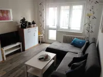Pronájem bytu 1+1, Slaný, Plynárenská, 35 m2