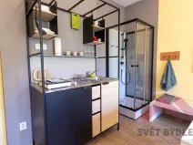 Pronájem bytu 1+kk, Praha - Vršovice, Tolstého, 28 m2