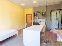 Pronájem bytu 1+kk, Praha - Vršovice, Tolstého, 28 m2