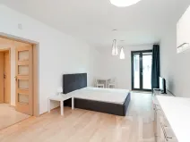 Pronájem bytu 1+kk, Praha - Žižkov, Olšanská, 43 m2