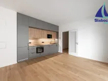 Pronájem bytu 2+kk, Praha - Holešovice, U průhonu, 48 m2