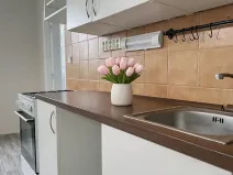 Pronájem bytu 2+1, Litvínov, K Loučkám, 60 m2