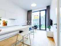 Pronájem bytu 1+kk, Praha - Veleslavín, Na dračkách, 29 m2