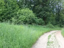 Prodej pozemku, Pohledy - Horní Hynčina, 1135 m2