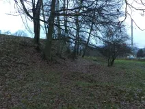 Dražba louky, Cvikov, 1017 m2