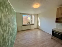 Pronájem bytu 1+1, Nýrsko, Práce, 40 m2
