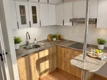 Pronájem bytu 1+kk, Ostrava, Hornopolní, 32 m2