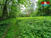 Prodej lesa, Červené Pečky - Bohouňovice I, 491 m2