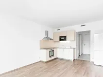 Pronájem bytu 1+kk, Praha - Libeň, Kurta Konráda, 36 m2