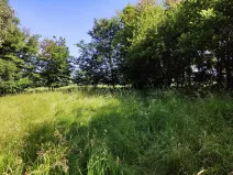 Prodej pozemku, Černovice - Panské Mlýny, 4180 m2