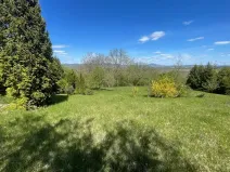 Pronájem zahrady, Keblice, 9823 m2