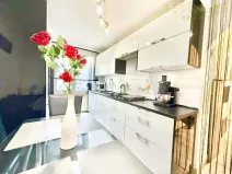 Prodej bytu 2+1, Český Těšín, Mánesova, 53 m2