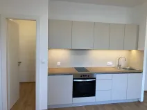 Pronájem bytu 1+kk, Praha - Žižkov, Na rovnosti, 32 m2