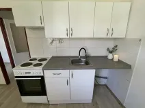 Pronájem bytu 1+1, Litvínov, Podkrušnohorská, 32 m2