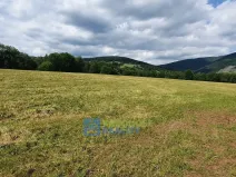 Prodej pozemku, Černý Důl - Čistá v Krkonoších, 4617 m2