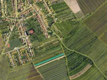 Prodej pole, Velešovice, 2950 m2