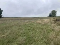 Dražba louky, Kostelec nad Černými lesy, 15764 m2