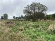 Dražba louky, Kostelec nad Černými lesy, 15764 m2