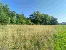 Dražba pozemku pro bydlení, Moravský Písek, 2722 m2
