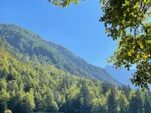 Prodej bytu 2+kk, Camporosso, Tarvisio, Friuli-venezia-giulia, Itálie, 69 m2