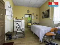 Prodej obchodního prostoru, Hlinsko, O. Nejedlého, 380 m2