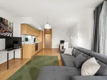 Prodej bytu 2+kk, Praha - Žižkov, Pitterova, 55 m2