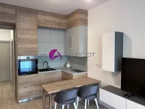Pronájem bytu 1+kk, Olomouc, Wolkerova, 30 m2