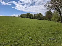 Prodej louky, Cheb, 16692 m2