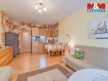 Prodej bytu 1+kk, Mariánské Lázně, Masarykova, 28 m2